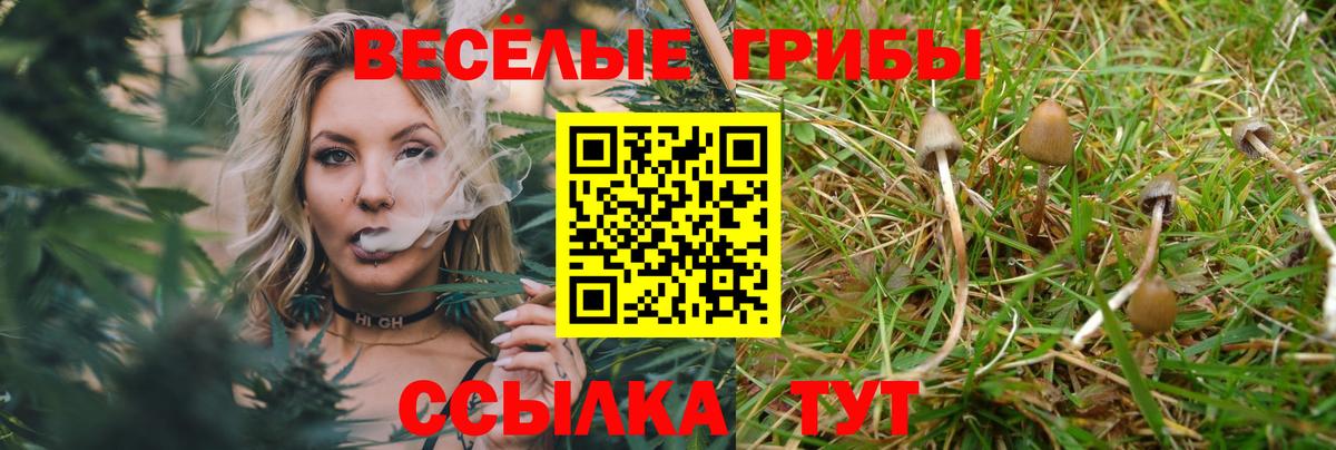Бошки Шишки  Осинники  Меф   Вход с VPN 